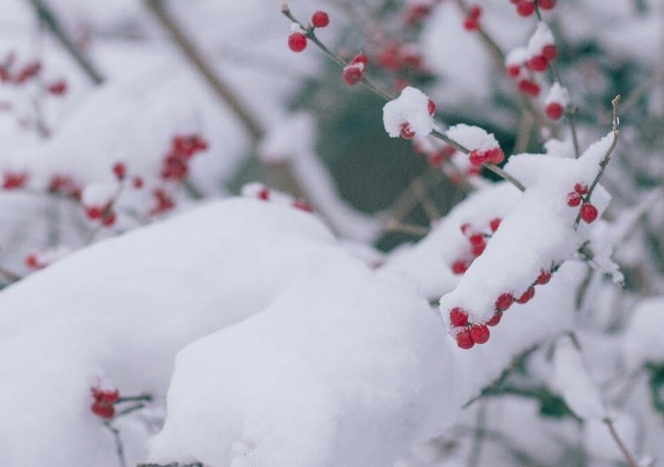  入冬|明日大雪，四大传统美食记得吃，进补效果好，顺应节气安稳入冬