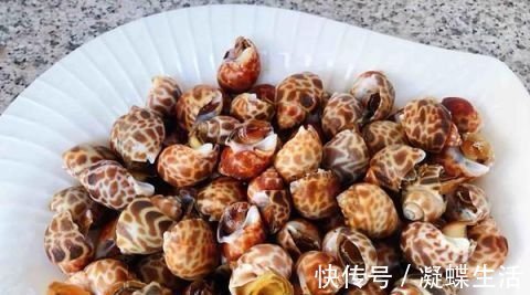 花螺|这东西在美国卖出了高价,中国却要花重金清理,食客:长错了地方