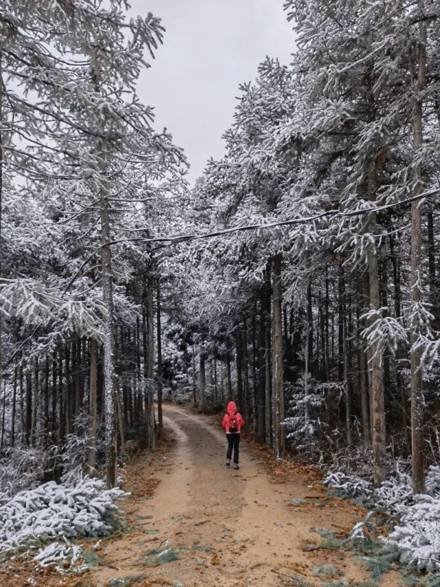 第一场雪|盛会逢瑞雪 期盼新丰年