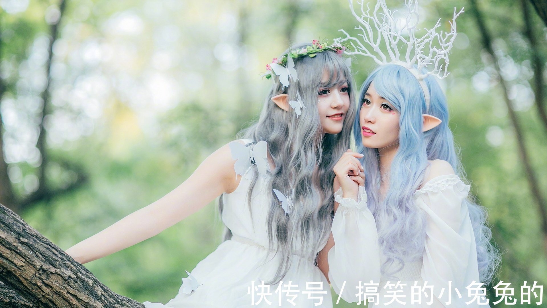 |搞笑GIF段子:对于公鸡来说,开车啥的都不叫事