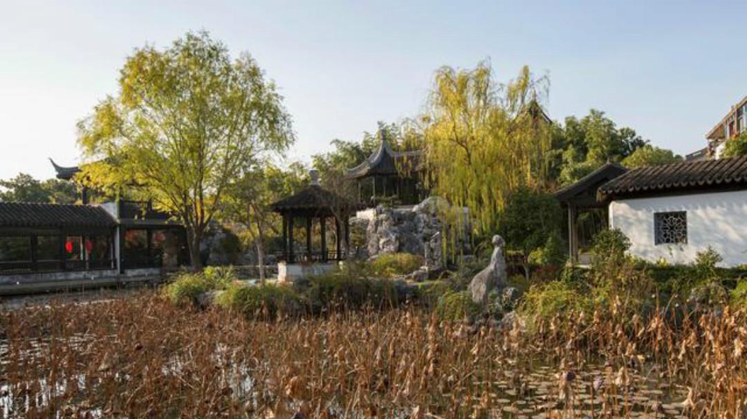 于王氏|李商隐:荷叶生时春恨生,荷叶枯时秋恨成!爱情也会慢慢地枯萎!