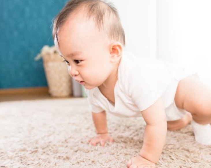 宝宝|多多练习“宝宝趴”,将来才能“宝宝爬”,这才是进阶训练