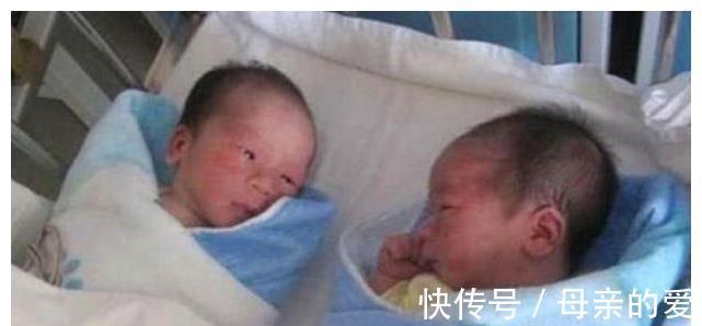 尿不湿|龙凤胎兄妹出生后一直亲，护理人员都没办法分开，画面太暖心了