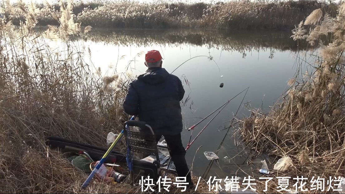 小虫|野钓为何就是没有别人选的钓位好鱼的这三个习性不可小觑