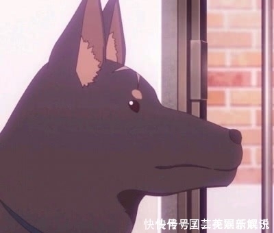 动漫|浪漫动漫情头｜相信你的眼光锐利，肯定可以发现我的！