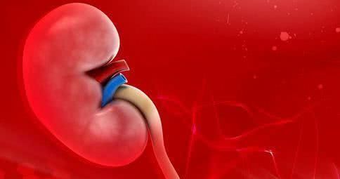  尿毒症的“元凶”已经被找到，“三高”饮食在列，第一个经常忽视