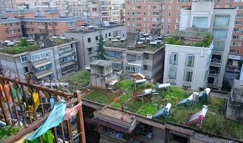 住宅|楼梯房和电梯房哪个更值钱住宅“新标准”出台,答案出乎意料