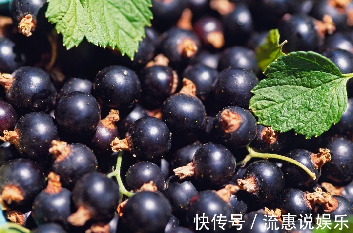 补血|九月来临,女人不妨常食此果,每天几颗,补血养血,气色更红润