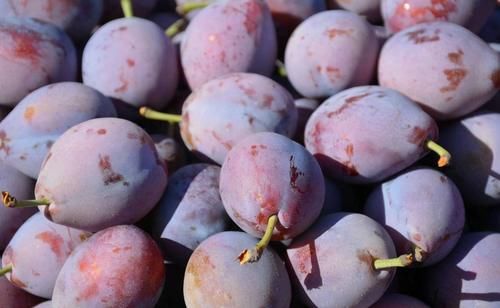 南瓜藤|想长寿先排毒,建议吃3种食物,排毒美容,滋润肌肤,延缓衰老