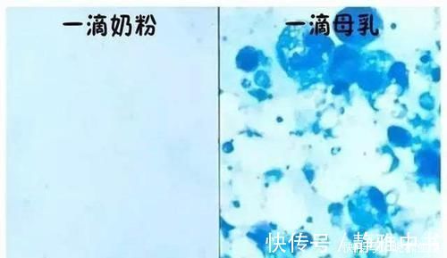 母乳|母乳被放大1000倍，在显微镜下“活了”，纯净程度不一般