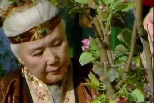 清虚观打醮,让贾母落下一个说不出口的心病,连王熙凤都没看出来