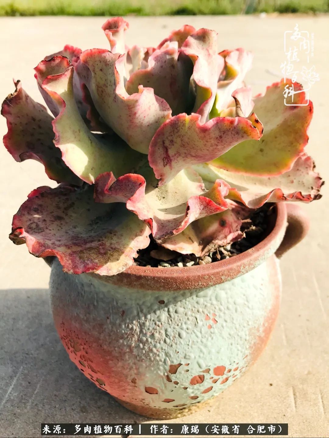 养肉之路,道阻且长,累的是身体,净的是心灵!