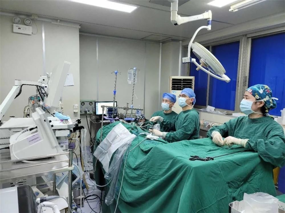 温州医科大学|平凡生活里不凡的英雄，向远离家乡的他们致敬！