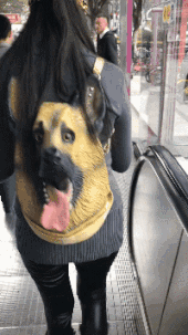 |搞笑GIF:姑娘的背包太个性,吓着我了!