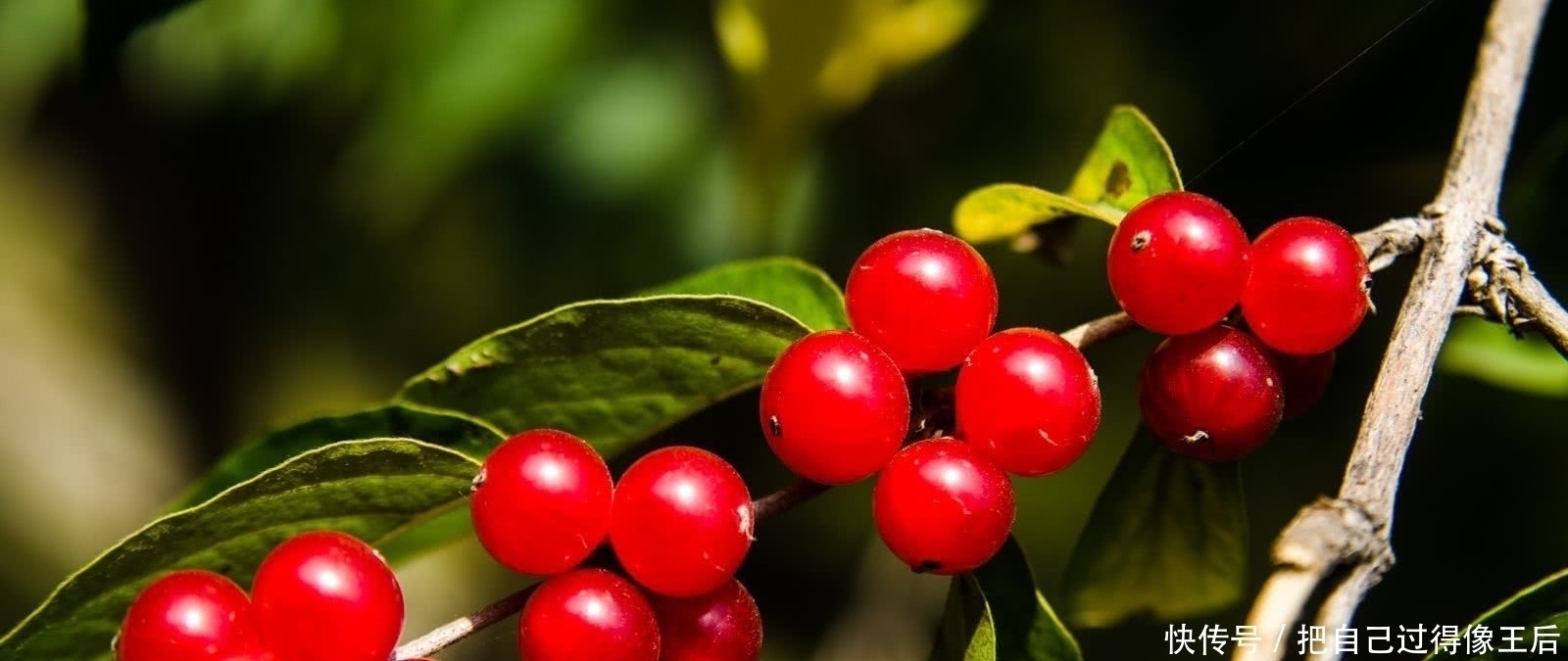 唐诗#他长相奇丑,却深受女子喜爱,一首七绝唐诗唯美伤感,冠绝古今!