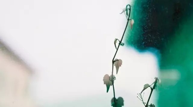 成就|王阳明训子家书,大智慧成就大人生