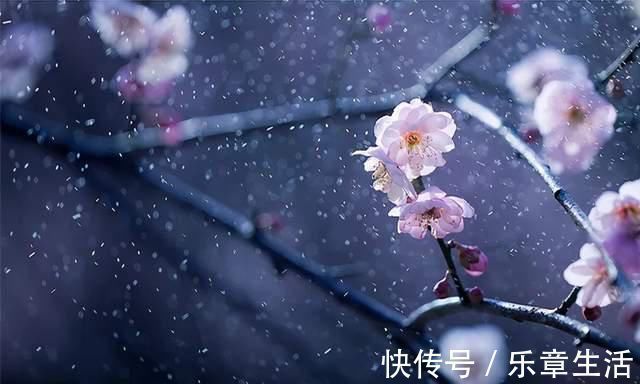 严恽$王安石的这首梅花诗,每一句都是抄袭的,却道出人生至高境界