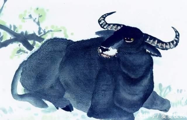 宝宝|生孩子要看属相?这4个属相的孩子有优势,孩子比同龄人更聪明