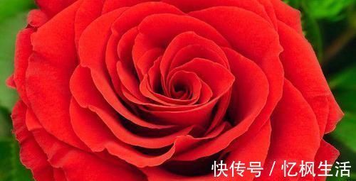 月经量少|月经量少危害大?平时多吃这几样食物,帮你改善月经保持年轻