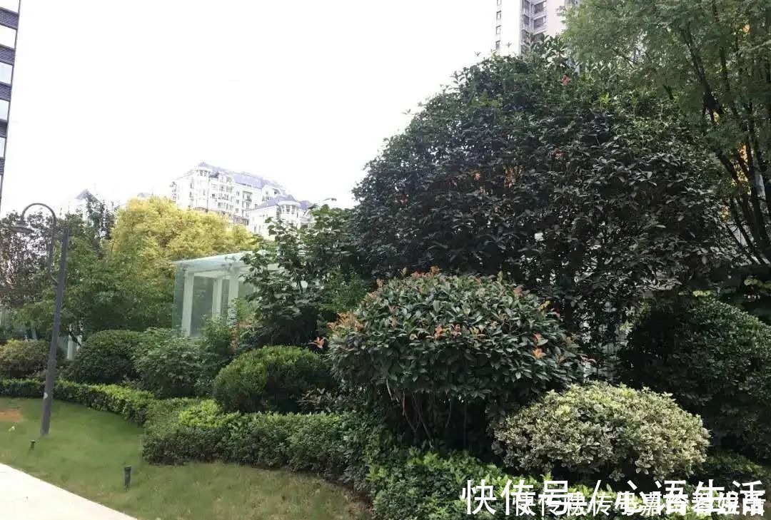 证书|房产证的重要性，你必须知道！丨买房涨知识