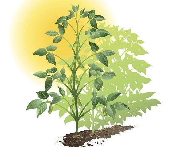 学霸级|孕期哺乳期“学霸级”慎用成分清单,超硬核成分党教你护肤不盲目