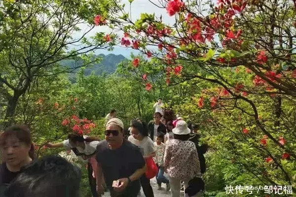 梯田|观老庄堂美景，探邹法灵公传说