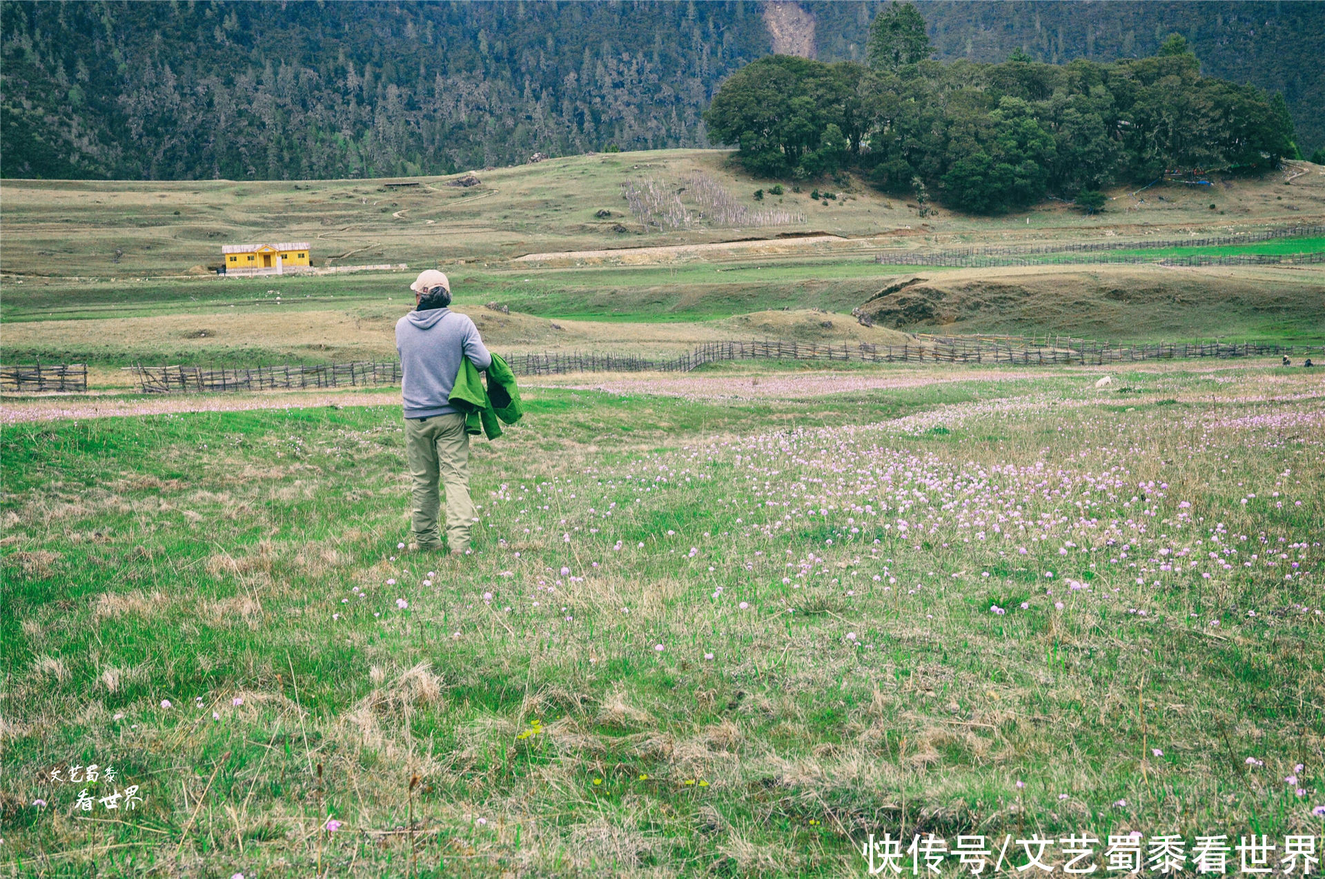 在川藏线上有一个仙境一样的村庄，鲁朗扎西岗村，去过的人并不多