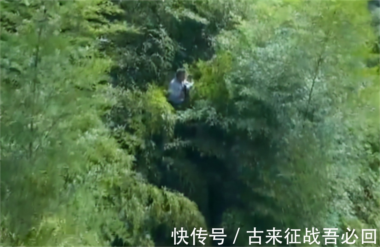技艺|竹海飞人8岁爬竹子,年过半百仍在竹上行走,今无人传承境地尴尬