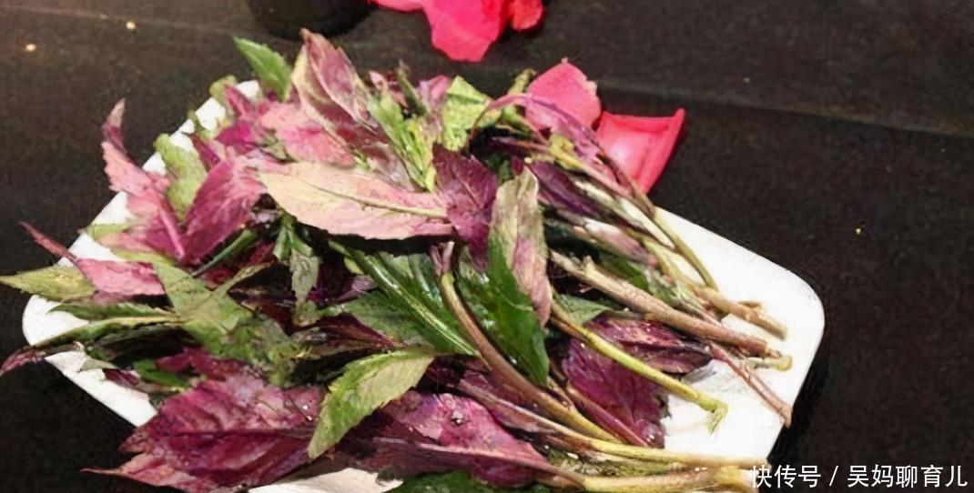 胡萝卜|原来吃虾皮并不补钙?医生:真正补钙的3种食物,很多人并不爱吃