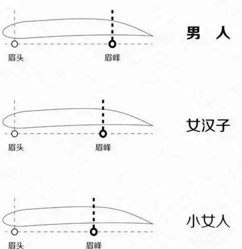8种常见脸型以及不规则脸型的眉型设计技巧