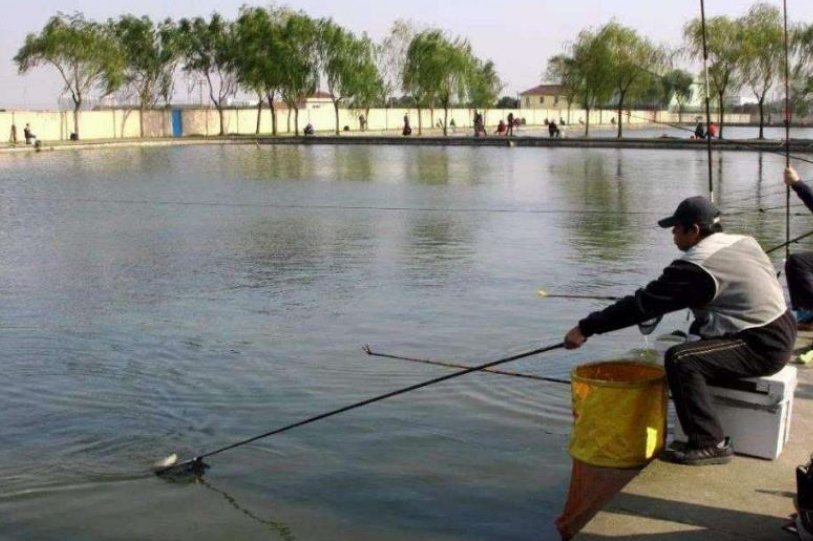 黑坑轻口鱼滑口鱼不知道怎么去钓?老司机教你饵料与调漂技巧包会
