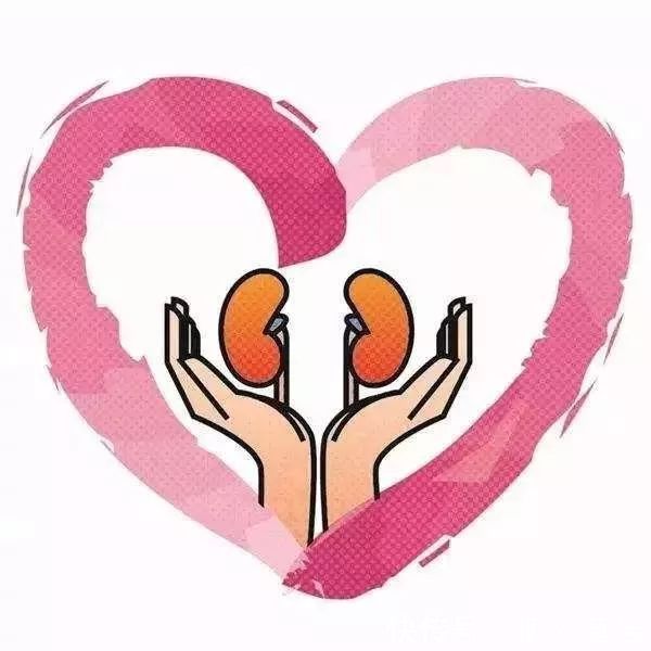 一个清朝流传下来的方子仅3味药,清热凉血滋肾,对耳鸣有奇效