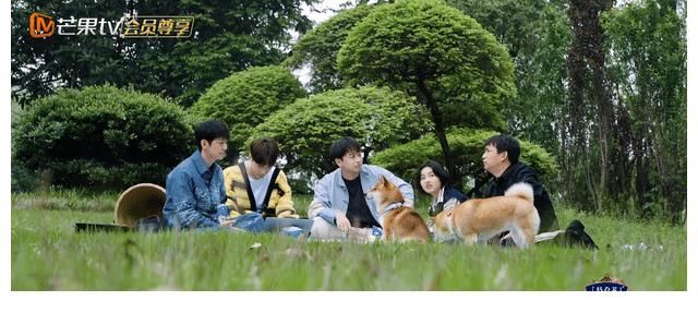 孙红雷|张艺兴不怕得罪黄渤孙红雷，彭昱畅很会端水，两人情商都不低！