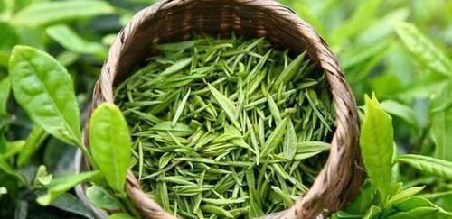 蒿坪毛尖|有肝病的人,若是睡觉时出现这5种表现,那恭喜你,肝病正在好转