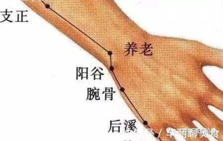 手腕处|手腕有个“养老穴”,专治各种老年病每天坚持按一按,老年病跑光光