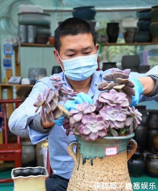 品种|张大哥养肉10多年,总结出4个“耐热品种”,肉迷都喜欢