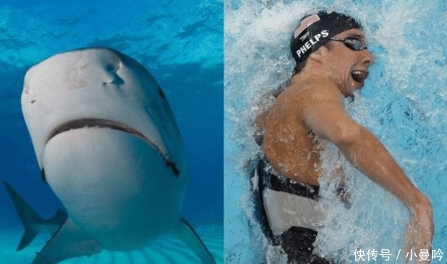 全球|7千的“神奇泳衣”为何被禁用全球最贵泳衣却只能穿6次,太奢侈