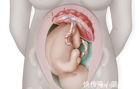 下腹部|孕晚期,孕妇有几种感受,说明胎儿已顺利入盆,附胎儿入盆图解