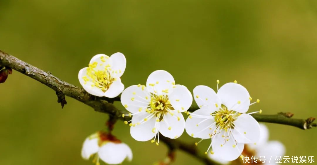 一眼万年的诗词句子有人哭,有人笑,有人输,有人老