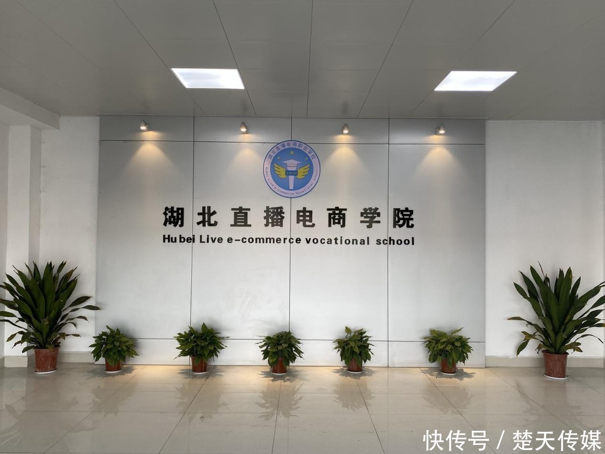 电子商务平台：洞察市场新趋势