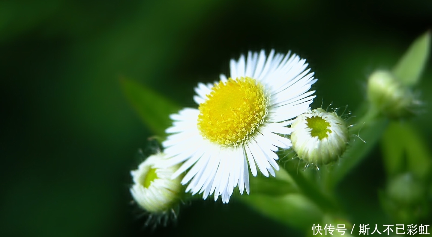 上天|家有3生肖,11月就熬出头!上天庇佑,横财到手,混的比谁都好