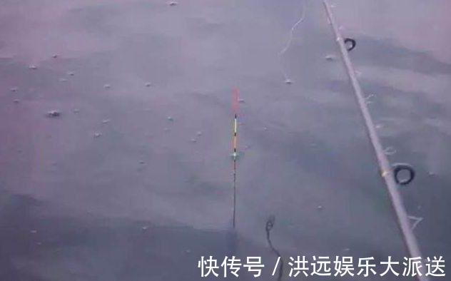 钓鱼|夏季钓鱼钓位很关键，不想当空军就别频繁换钓位！
