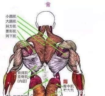 抓型@为什么没有绘画天赋的我,居然也能靠绘画养活自己