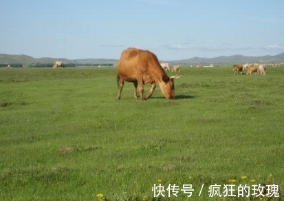 葫芦|孕妇梦到这4件事，预示会生儿子是吉兆，且将来会成为栋梁之才