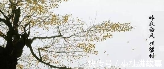 莫氏$王国维见夫人年老色衰,写下一首词,最后一句成网红名句人人会背