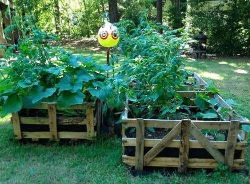 朋友用生活废料制作的花床,都不用两百块
