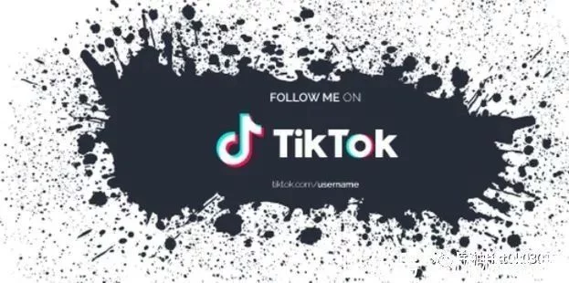 海外抖音tiktok是什么抖音海外版项目如何赚钱（海外抖音tiktok赚钱是真的吗）