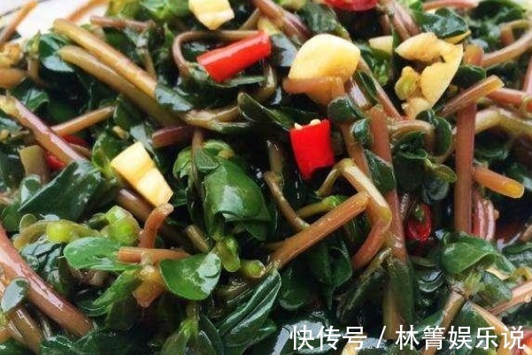 血压|有白头发先别染发!马齿苋加一宝,仅需15天变黑发,还有惊喜变化