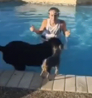 |搞笑gif:对于这种长着虎牙的妹子没有一点抵抗力,哈哈哈