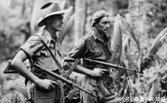 丛林|日军擅长丛林和海岛作战，为何在新几内亚岛输的一败涂地